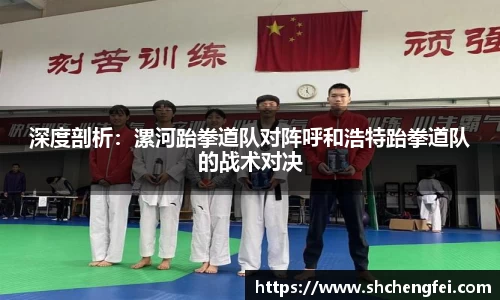 深度剖析：漯河跆拳道队对阵呼和浩特跆拳道队的战术对决