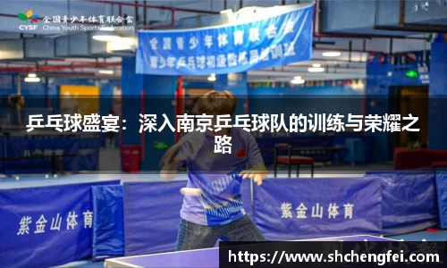 乒乓球盛宴：深入南京乒乓球队的训练与荣耀之路