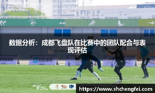 数据分析：成都飞盘队在比赛中的团队配合与表现评估